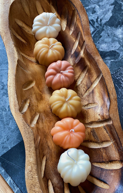 Autumn Pumpkin Soy Wax Candles